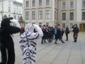 IMGP3224.JPG